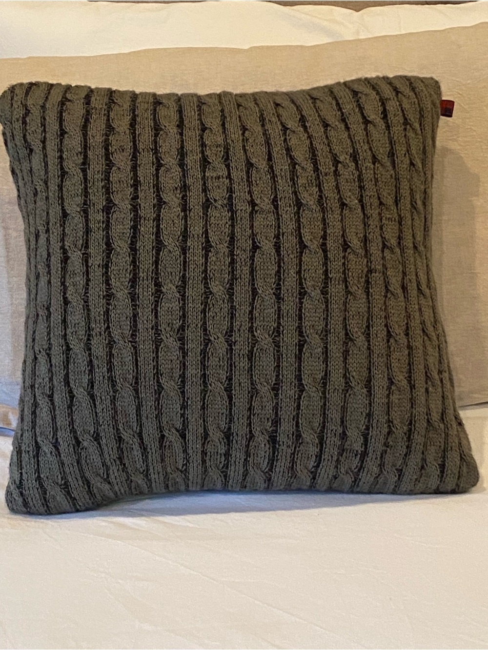 Williamsport Cable Knit Decorative Pillow - Gray